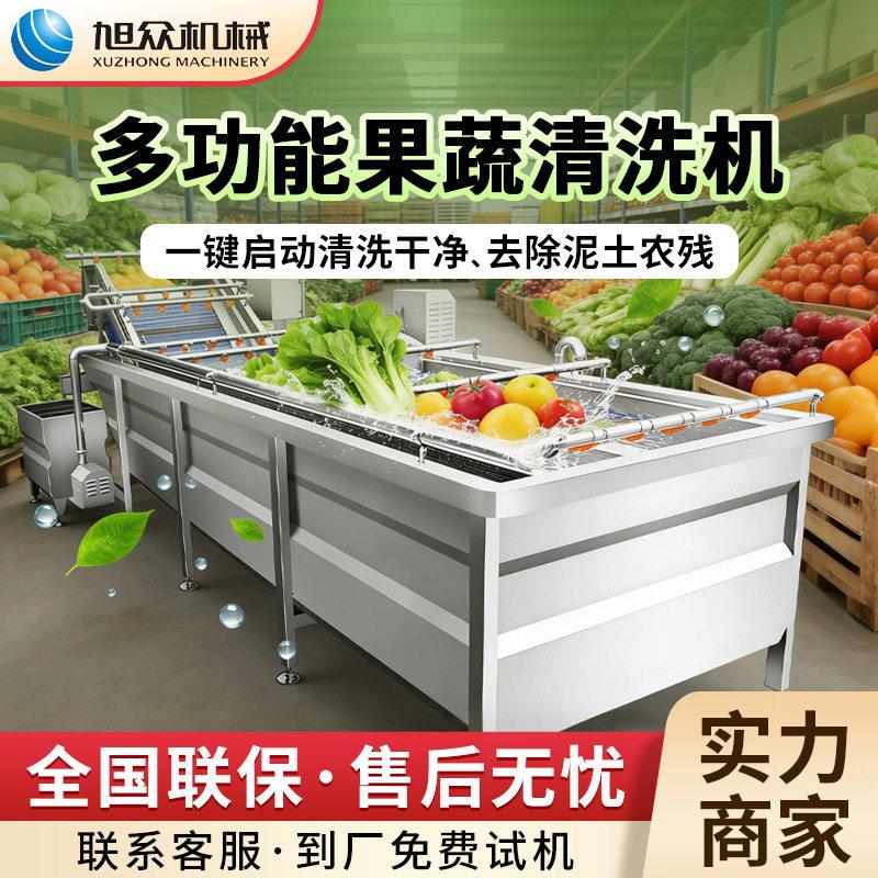 多功能涡流清洗机商用果蔬气泡清洗机大型全自动叶菜类洗菜生产线