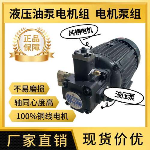 液压油泵电机组VP20+0.75KW总成内轴电机液压站配件系统液压油泵