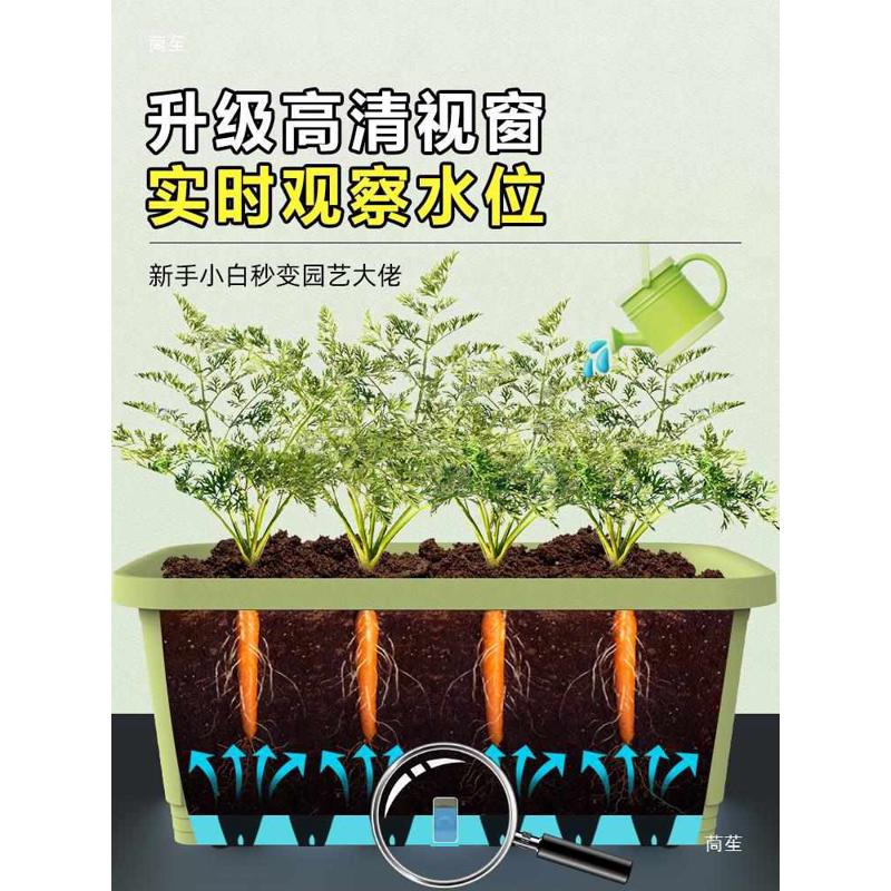 阳台家用种菜箱长方形种菜盆花盆蔬菜种植盆塑料户外庭院花箱