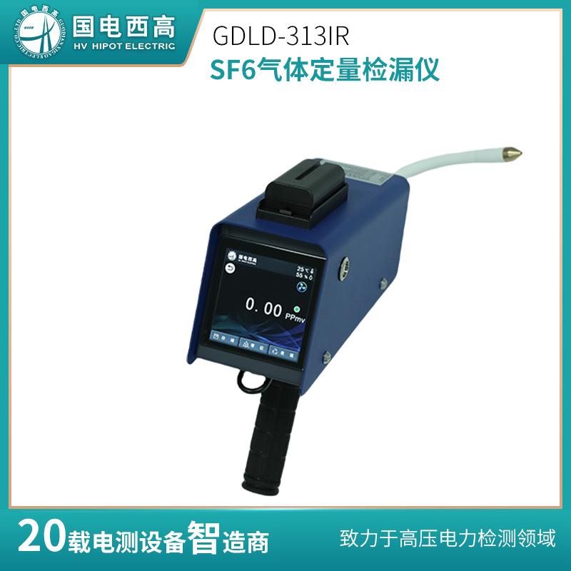 GDLD-313IRSF6气体定量检漏仪高灵敏度的定位和量化