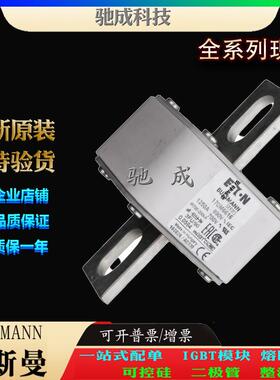 巴斯曼170M6617 170M6618 170M6619 加工制作零售 方体熔断器