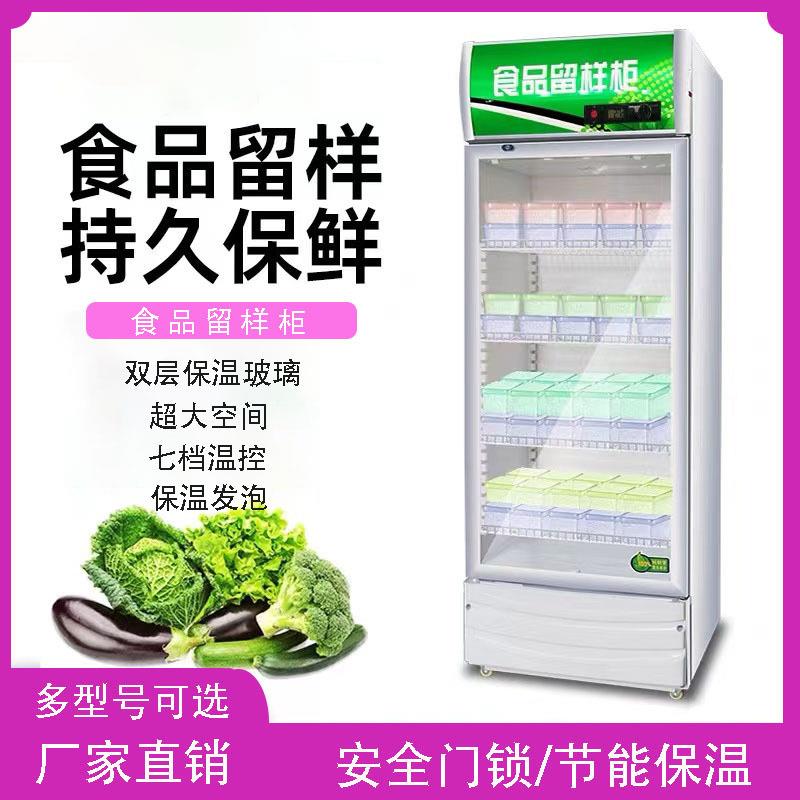 幼儿园学校带锁食品留样柜小型商用冷藏饮料小冰箱食堂保鲜展示柜
