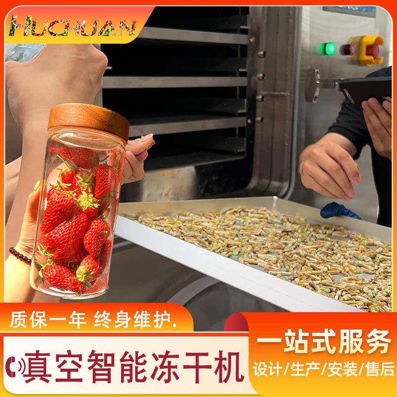 厚切酸奶块真空干燥机黄桃木薯冻干设备奇异果真空低能耗冻干机