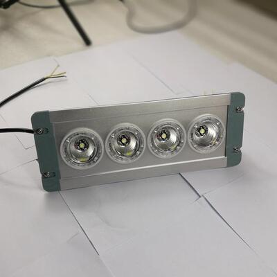 ZL8846-E 配电房应急低顶灯LED固态免维护事故应急照明灯GMD9124A