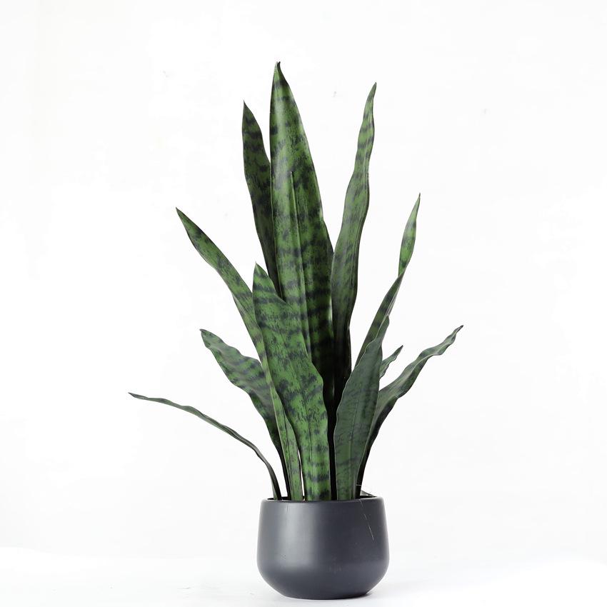 塑料植 兰套装植物假 栽虎皮小石子花仿真固定 盆仿真兰盆绿虎皮