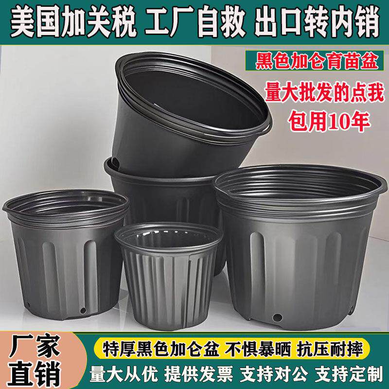黑色加仑盆加厚塑料花盆阳台育苗杯防老化重覆使用育苗盆营养钵