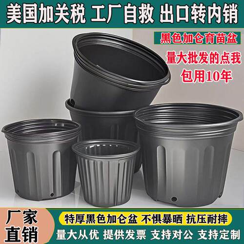 黑色加仑盆加厚塑料花盆阳台育苗杯防老化重覆使用育苗盆营养钵