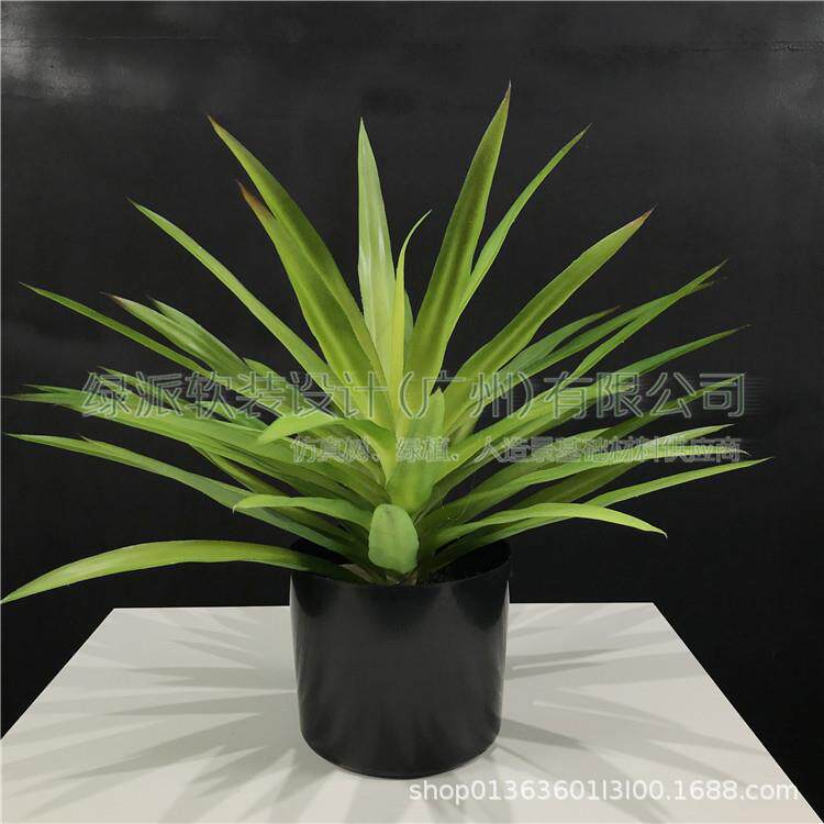 盆仿龙舌兰白边金边兰剑麻剑兰树假树0001真客厅装饰丝树大型植物