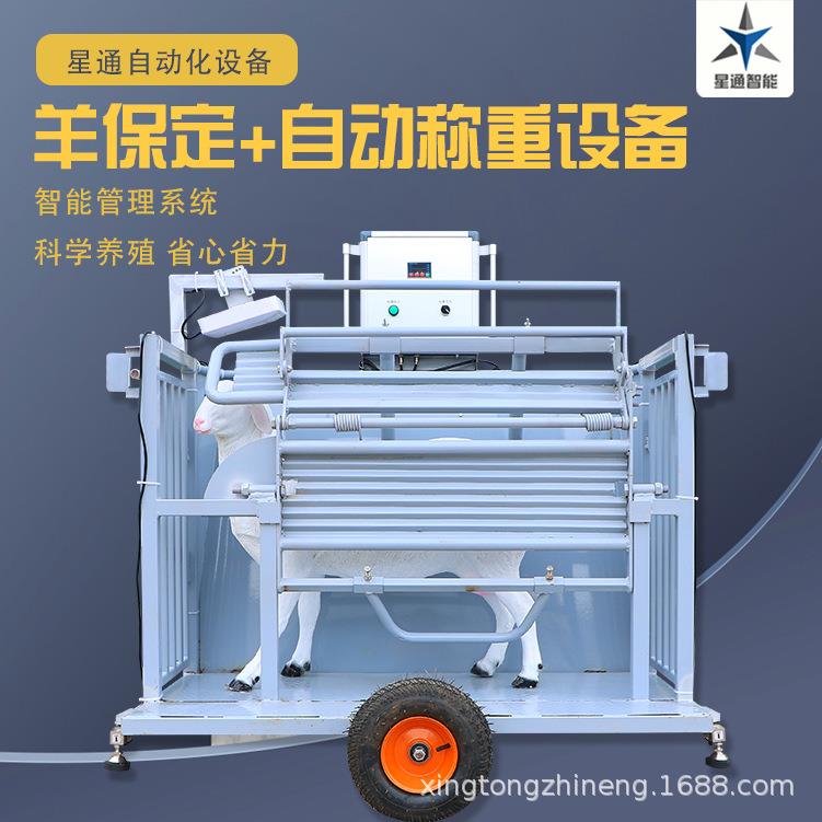 羊保定架可移动称重自动记录抱卡调节稳固耐用修蹄剪毛健康监测