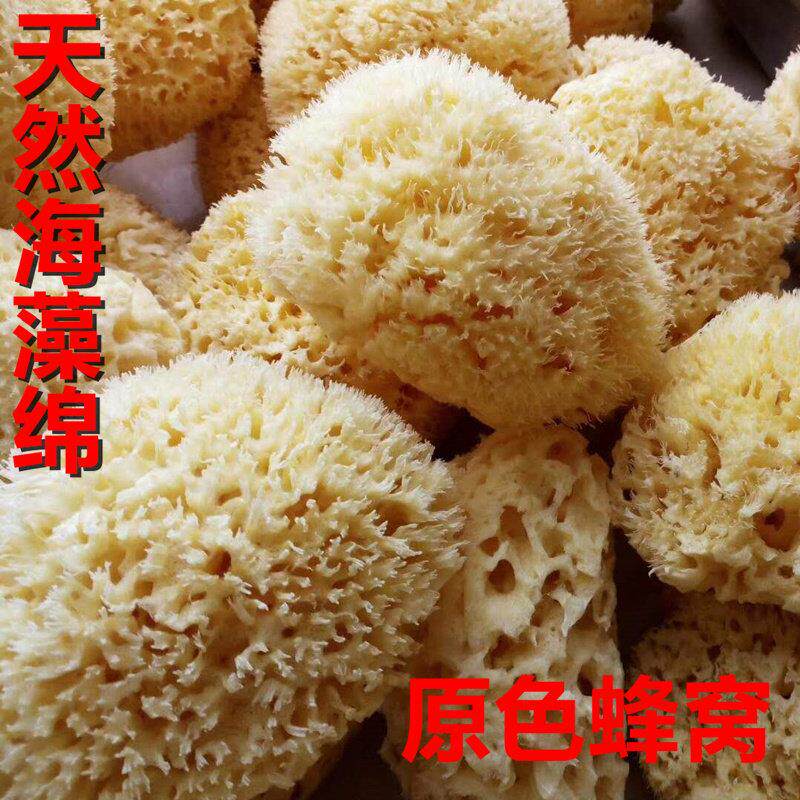 天然海藻绵艺术漆三色珠光印花工具质感涂料拍花点花工具壁纸漆
