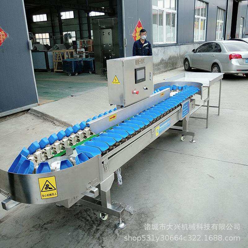 商用鱼类大虾分级机 板栗海重分量选机IFS 猪蹄称子重分级机器参