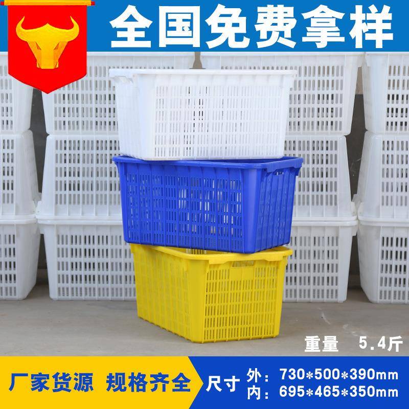 厂家直销泽鹏5.4斤长方形塑料筐 多规格加厚蔬菜水果筐白色周转筐