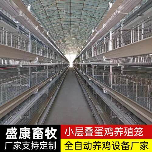全自动小叠蛋鸡笼养鸡养殖设备自动化集蛋养殖笼具热镀锌蛋鸡笼