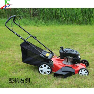 手推式草坪修剪机 芦苇丛灌木丛修剪机 丛林果园杂草剪草机