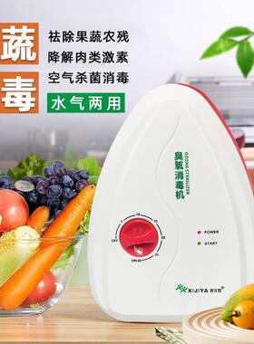 小型果蔬清洗机家用多功能活氧消毒机臭氧发生器臭氧洗菜机除味器