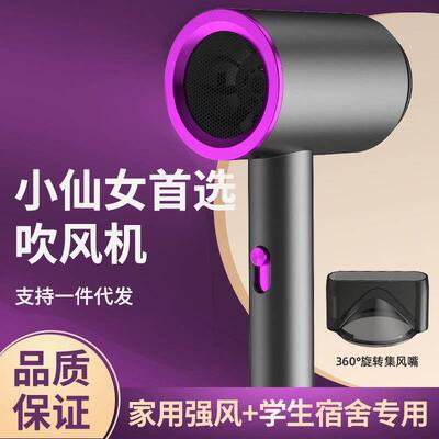 Hair Dryer with Diffuser Blow Dryer Comb Brush 1800W Ionic