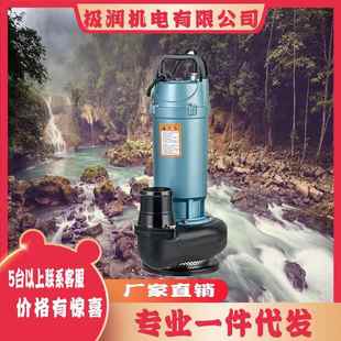 潜水泵220V小型污水泵家用抽水泵高扬程农用抽水机大流量灌溉排污