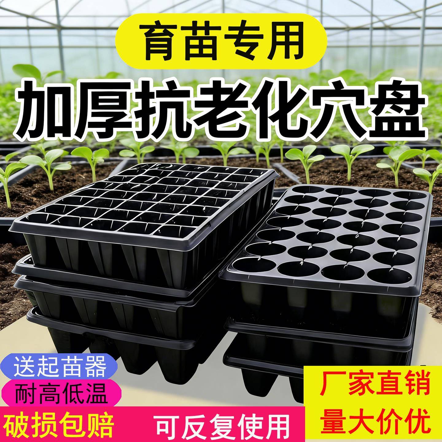 育苗盘穴盘育苗盒育苗盆蔬菜育苗盘塑料育苗器苗木多肉整箱