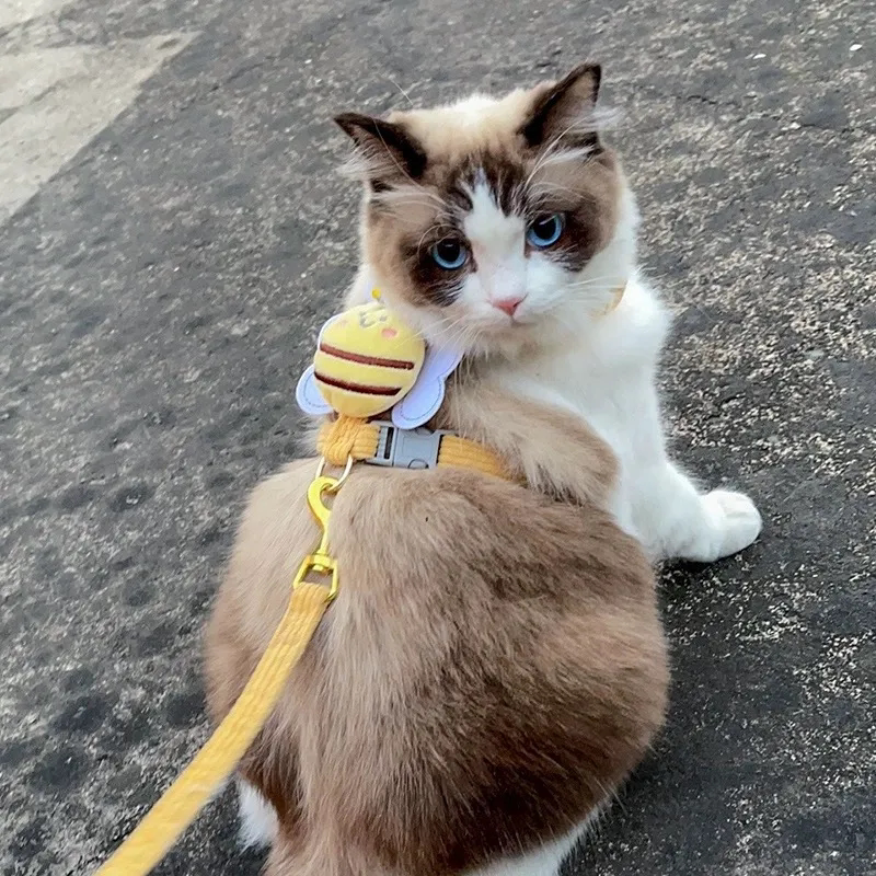 猫咪牵引绳宠物可爱蜜蜂胸背绳外出防丢自动可调节遛猫绳狗狗通用