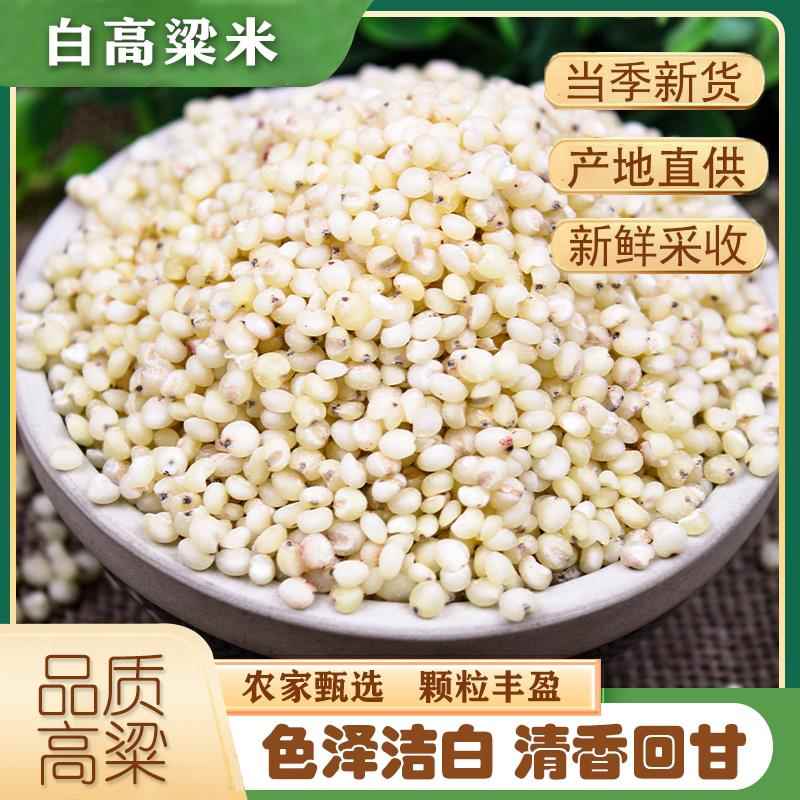 东北白高粱米 新米5斤去壳去皮农家自种粗粮煮粥饭 五谷杂粮粘糯