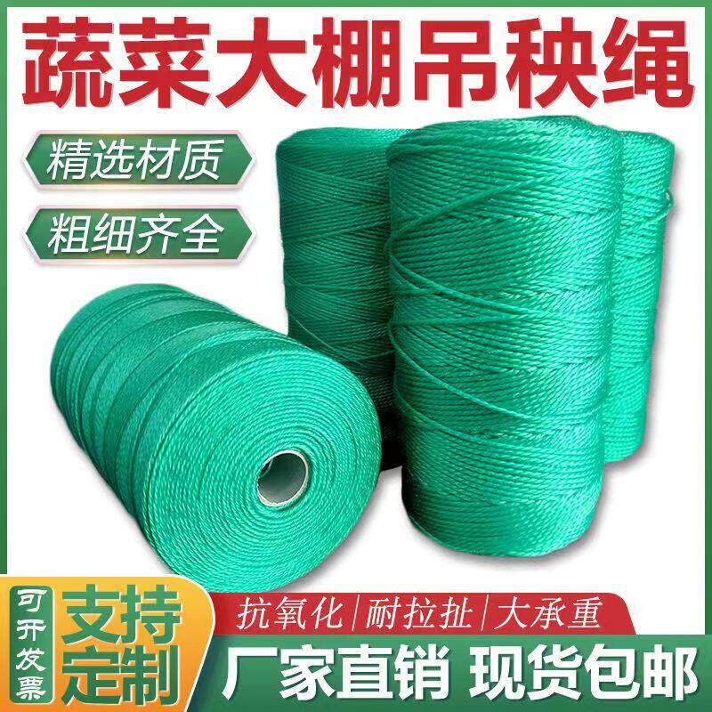 吊秧绳黄瓜西红柿蔬菜大棚吊蔓绳尼龙绳耐磨农用抗老化吊绳塑料绳