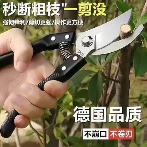 剪刀果树剪刀修枝剪花剪树枝果树园艺专用花卉剪省力剪子园林剪刀