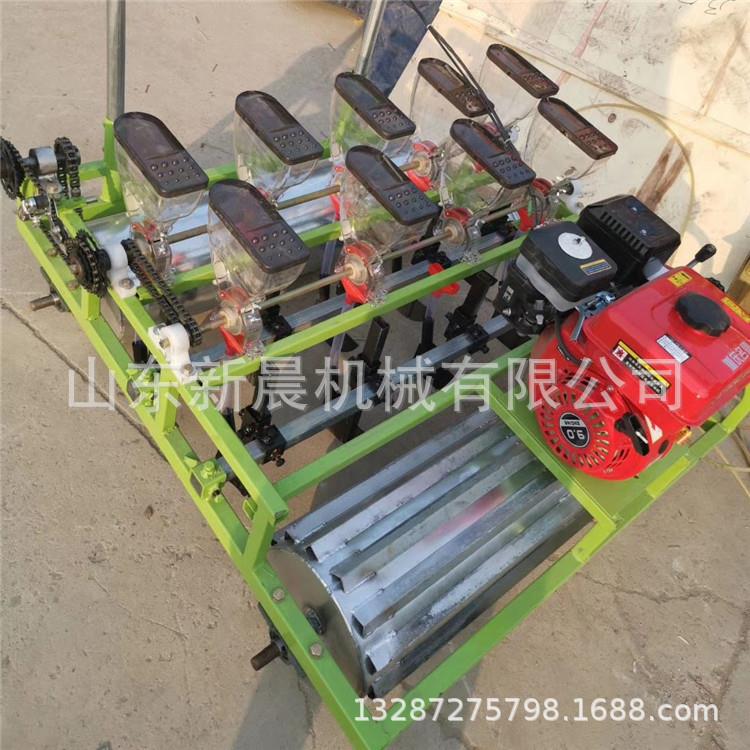 黄芩黄芪播种机 白术材小精播机株距可调播种机