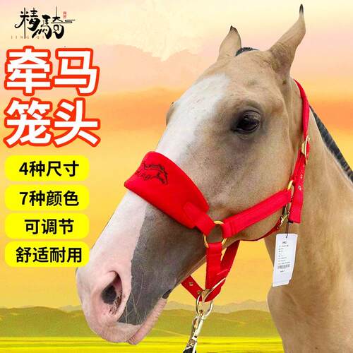 马笼头绳子牵马调教笼头全套线板大小矮马龙头嚼子马术用品亏