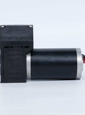 气体隔膜泵 DS06 DCB无刷隔膜微型真空泵12V/24V气体采样泵供应