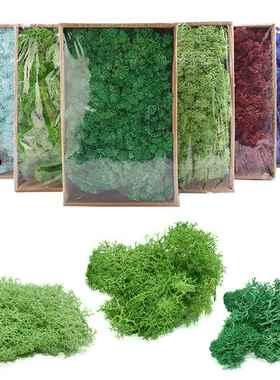 High Quality Artificial Green Plant Immortal Fake Flower Mos