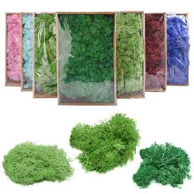 High Quality Artificial Green Plant Immortal Fake Flower Mos