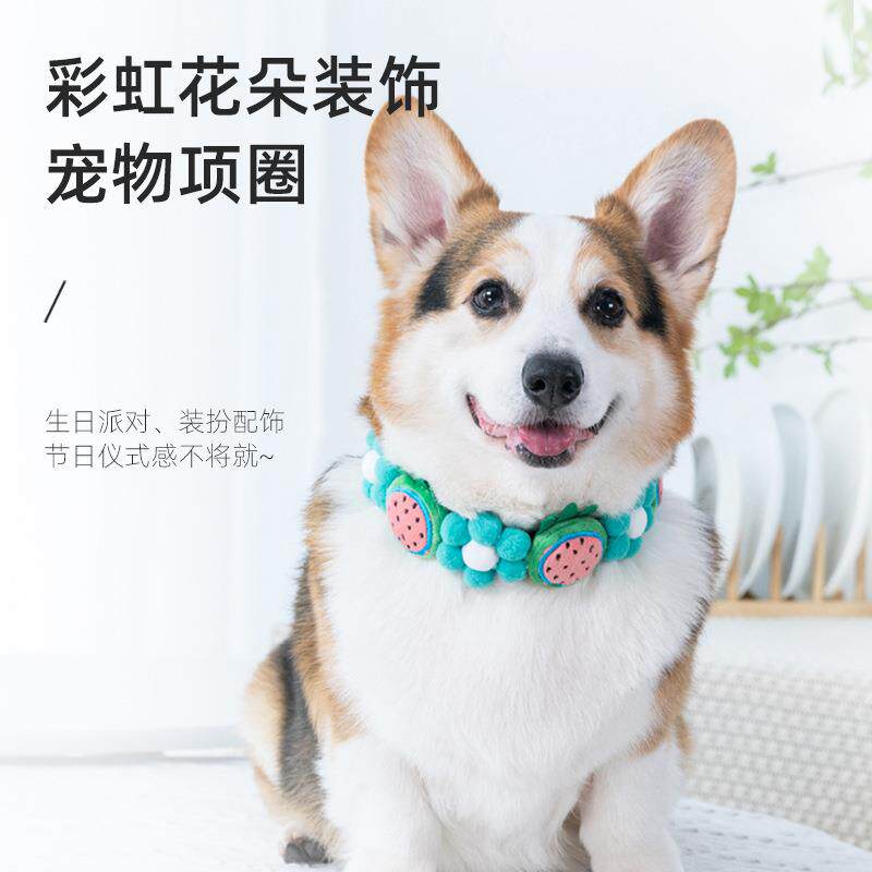 宠物网红柴犬柯基彩虹花朵水果草莓项圈猫咪狗狗毛球脖圈带可调节