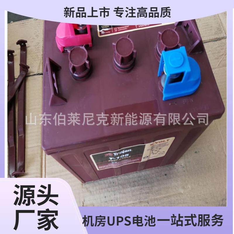 Trojan/邱健蓄电池L16G-AC 6V390AH升降机船舶洗地机6V 加液电池