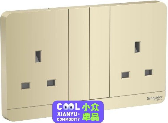 Schneider 施耐德 E83T25_DG_C5 13A