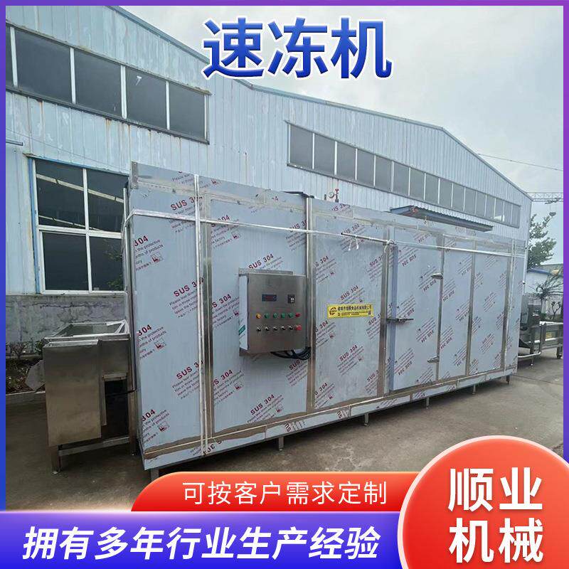 大型柜式速冻机海鲜海参冷冻设备黄桃果蔬速冻柜龙虾尾速冻流水线