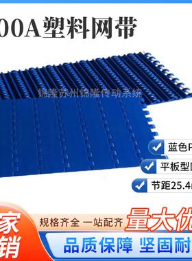 输送带PP/POM材质传送带 200A塑料网带网链25.4节距双筋底筋链板