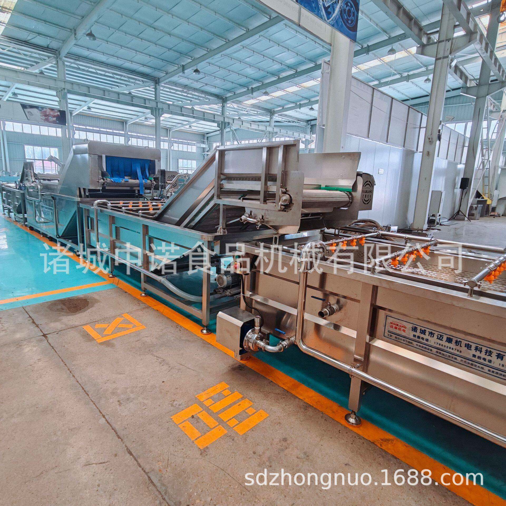 工厂用蜜饯类话梅清洗设备 东笼椒清洗机 大型掐菜清洗机厂家