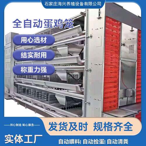 层叠蛋鸡笼h型全自动框架养殖设备蛋鸡笼养设备四五层加厚鸡场用