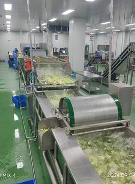 新疆豇豆气泡清洗线蔬菜叶类菜涡流清洗机胡萝卜清洗机