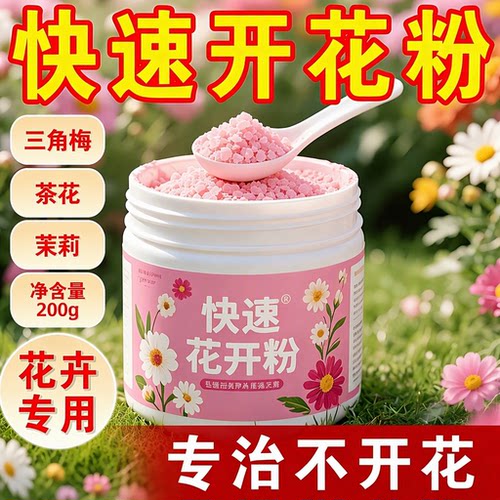 快速开花粉三角梅茶花开花肥料