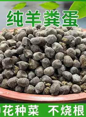 羊粪发酵有机肥纯羊粪蛋颗粒羊粪肥蔬菜花卉果树阳台盆栽月季肥料