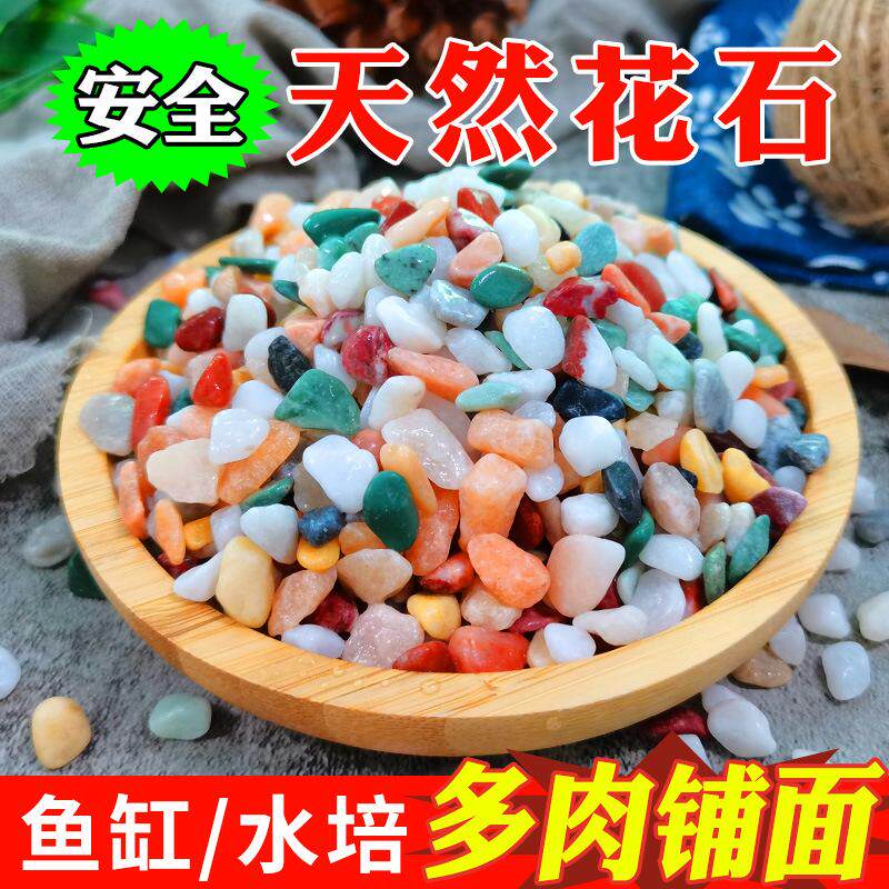 天然鱼缸造铺底盆栽水培多肉植物铺面装饰小石头