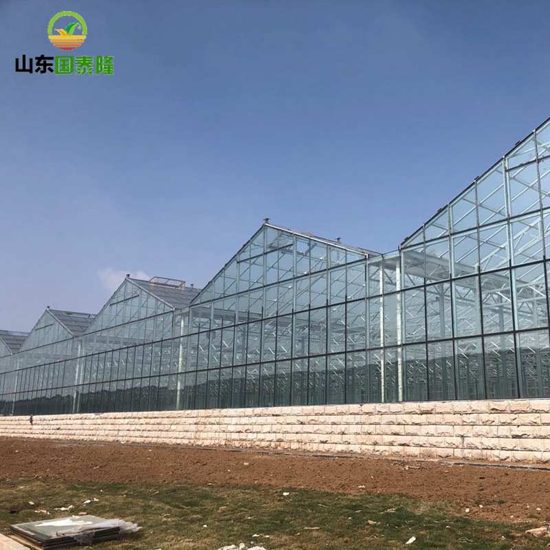 承接玻璃连栋温室大棚  造价一站式服务连动薄膜温室建设