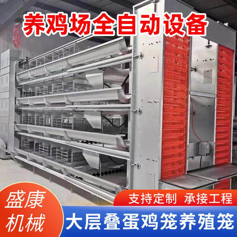 蛋鸡笼全自动捡蛋机一体化养鸡设备机械蛋鸡笼养殖鸡舍鸡场养殖笼
