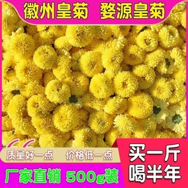 菊花茶婺源皇菊徽州皇菊500g黄山贡菊黄菊花草茶散装泡水花茶