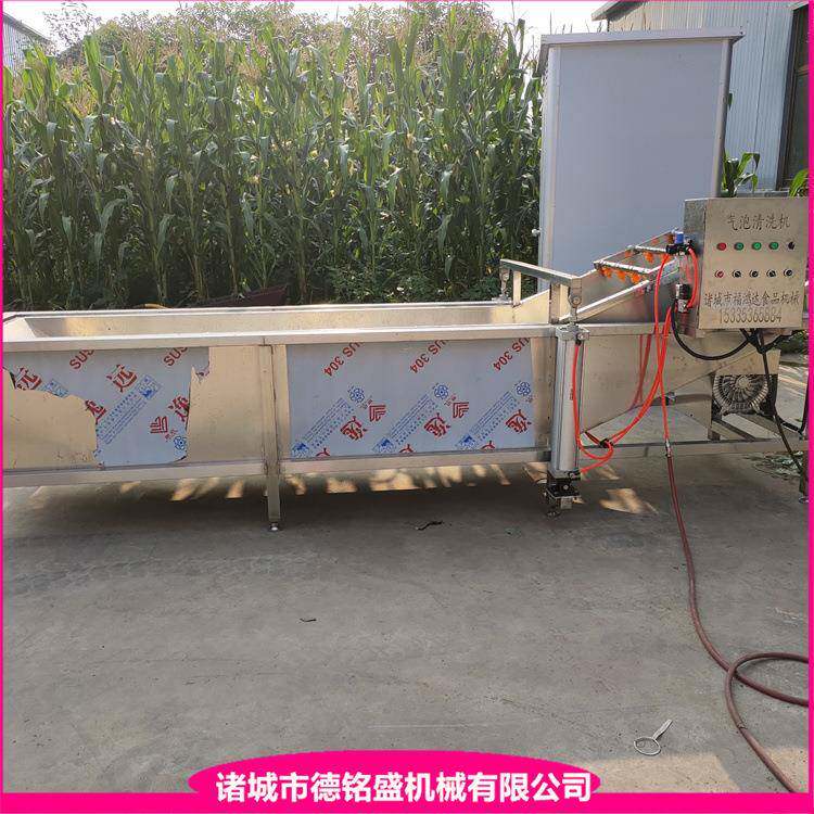龙虾挂冰机 海产品龙虾尾鸡爪挂冰机 猪肉清洗挂冰流水线
