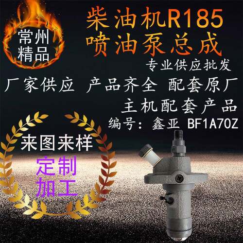 常州单缸水冷柴油机喷油泵总成 r185柴油机柴油泵配件柱塞喷油泵