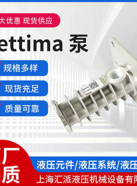 Settima 赛特玛 液压泵  液压系统电动油泵铸钢液压泵现货定制