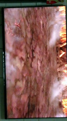 客观分析电视TCL65V6M和海信H65E3A哪个好，差别大不大？