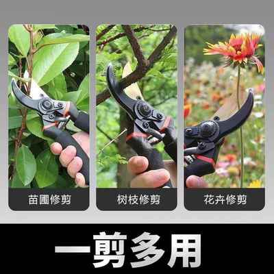 德国精工艺园剪刀剪树枝专用剪刀修枝剪果树剪花园林园艺剪子